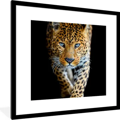Produktbild von MuchoWow® Gerahmtes Poster Leopard - Tiere - Porträt - Wildtiere - Schwarz 40x40 cm - Poster mit Schwarzem Bilderrahmen Wandposter Rahmen Foto Bilder - Poster - Plakat im Rahmen