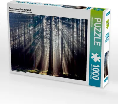 Produktbild von Calvendo Sonnenstrahlen im Wald 1000 Teile Puzzle quer 640x480mm, Cross Martina; 7328677