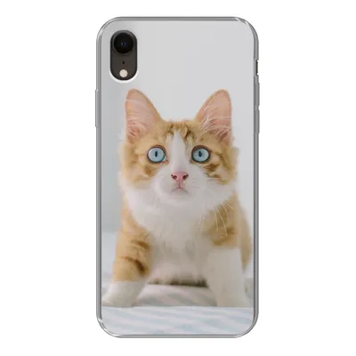 Produktbild von MuchoWow® Handyhülle Schutzhülle Hülle für iPhone XR Kätzchen - Blau - Orange - Mädchen - Jungen - Kind Silikon Softcase Handy Hülle - Schutzdeckel