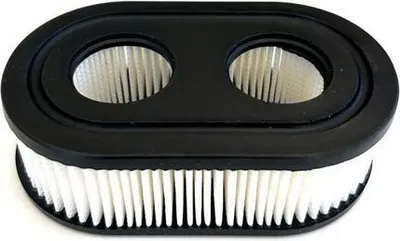 Image de LUFTFILTER für BRIGGS 475isi 550e 575EX 625E 650E 675E 798452 593260