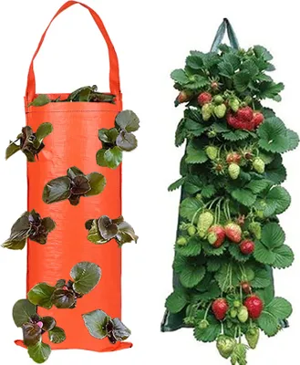 Two vertical planting bags, one orange and one green, are shown side-by-side against a white background. The orange bag is empty, while the green bag is filled with a growing strawberry plant.