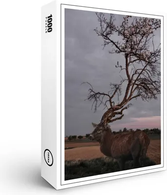 Produktbild von raxxa Premium-Puzzle "Frühlingsgefühle", 1000 Teile