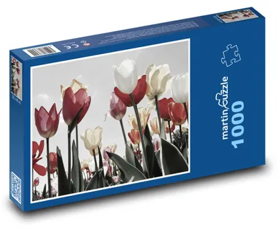 Obrázek produktu pro martinpuzzle - Puzzle 1000 - Tulipány