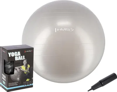 Produktbild von 65 cm grauer Gymnastikball - platzsicher, rutschfest