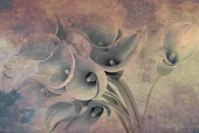Produktbild von Fototapete - Flower Abstract I 375x250cm - Vliestapete
