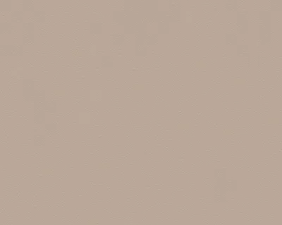 Produktbild von A.S. Création Vliestapete MeisterVlies 5 die glatte Wand beige 10,05 m x 0,53 m 309167