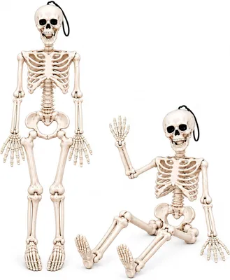 Immagine prodotto di Scheletto mobile da 40 cm per decorazioni di Halloween spaventose - Set da 2 - Set di decorazioni per Halloween - Perfetto per il giardino