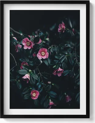 Produktbild von Rosa Vintage-Blumen– Wandbild mit Rahmen – Gerahmtes Bild  – Wanddekoration – 60x80 cm –  Schwarz Rahmen