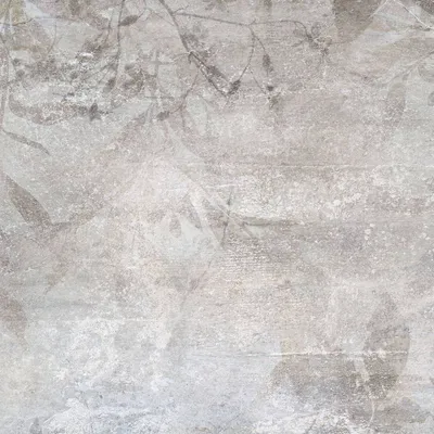 Produktbild von Fototapete 2537V-11 Digitaldruck Bäume Blätter 3 x 2.7 m Erismann Fashion for Walls digital Braun, Grau
