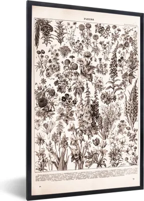 Produktbild von MuchoWow® Gerahmtes Poster Blumen - Pflanzen - Schwarz - Weiß 40x60 cm - Poster mit Schwarzem Bilderrahmen Wandposter Rahmen Foto Bilder - Papierdruck - Wandbilder