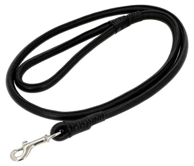 Produktbild von Hundeleine Abelard - Robuste Lederleine mit Karabiner 150 cm schwarz