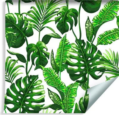 Zdjęcie produktu dla Tapeta Do Jadalni Zielone LIŚCIE Tropikalne Natura Dzika Przyroda egzotyczna Ozdoba ścienna 3D