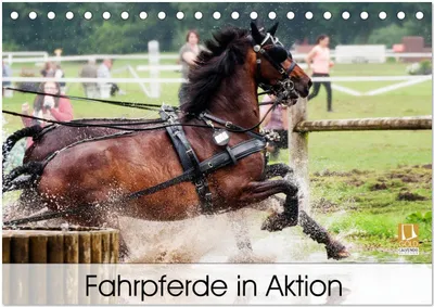 Produktbild von Fahrpferde in Aktion (Tischkalender 2026 DIN A5 quer), CALVENDO Monatskalender