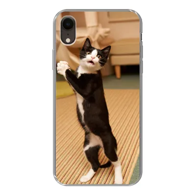 Produktbild von MuchoWow® Handyhülle Schutzhülle Hülle für iPhone XR Katze - Wohnzimmer - Schwarz Silikon Softcase Handy Hülle - Schutzdeckel