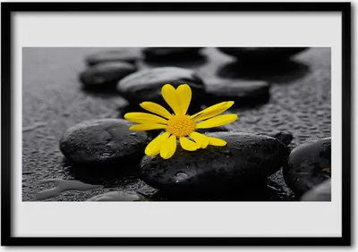 Produktbild von Bild 70x50 MDF-Rahmen Wandkunst Gelbe Blumen-Natur-Spa
