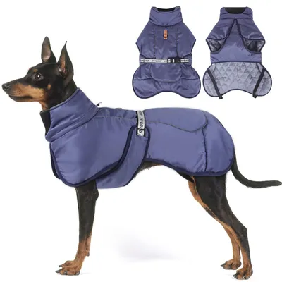 Produktbild von Winterjacke für Hunde – Warm gefüttert mit Fleece – Blau – Größe XL