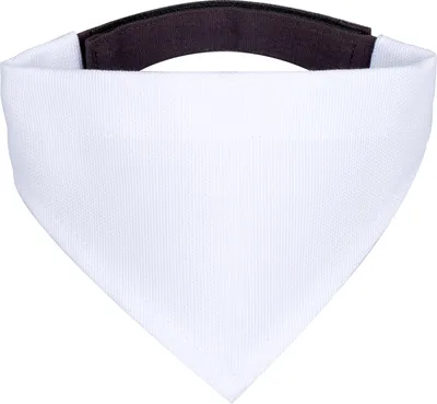 Produktbild von Mr. & Mrs. Panda Halstuch Eisbär Faul - Weiß - Geschenk, Tuch, Teddy, Bär, Hund, Arbeit, Büro, Entspannen, Homeoffice, Hunde, Hunde-Halstuch, Bandana