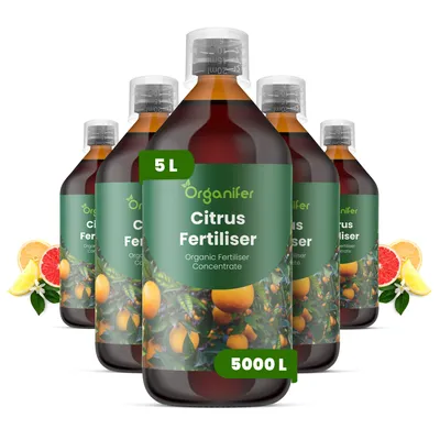 Produktbild von Zitrusflüssigdünger 5x1L – 2-1-8 NPK – Flüssigdünger Für Zitruspflanzen – Für Blätter, Üppige Blüte & Fruchtbildung – Organifer