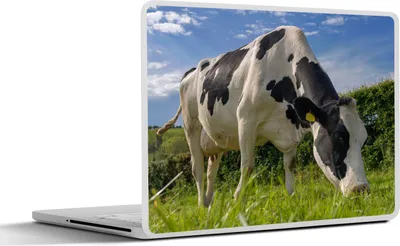 Produktbild von MuchoWow® Laptop Aufkleber Sticker Cover Kuh - Wald - Gras - Tiere 25x18 cm - Laptop-Deko