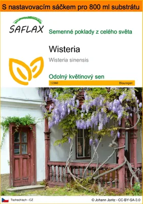 Obrázek produktu pro SAFLAX Garden in the bag - Wisteria - Wisteria sinensis - 4 Semena - S pěstebním substrátem v praktickém samovztyčovacím sáčku