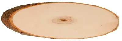 Produktbild von Artemio 2 x Peuplier oval 37-42 cm