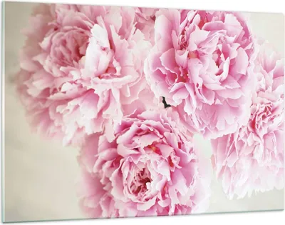 Produktbild von Bilder auf glas - Einteilig - Pfingstrosen Blumenstrauß Blumen - 120x80cm - Glasbilder - Wandbilder - Bilder - Wanddekoration aus Glas - Glas Bilder - Wandbild auf Glas - GAA120x80-4961