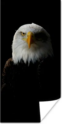 Produktbild von MuchoWow® Poster Adler - Vogel - Schwarz 60x120 cm - Wandschmuck