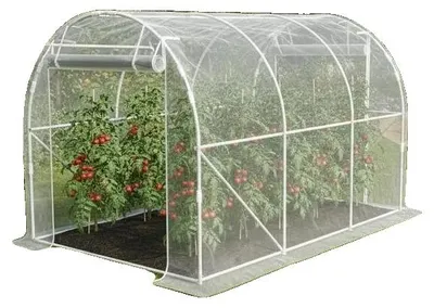 Produktbild von Gartentunnel Gewächshaus, verzinkter Stahlrahmen, 6 m² Anbaufläche, T1003-01-17207