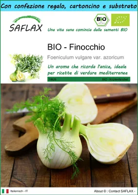 Immagine prodotto di SAFLAX Set regalo -- Finocchio - 100 semi - Foeniculum
