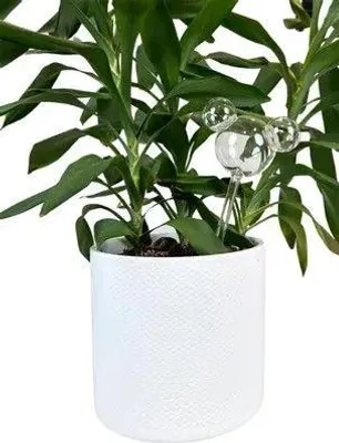 Produktbild von Warentuin Producten