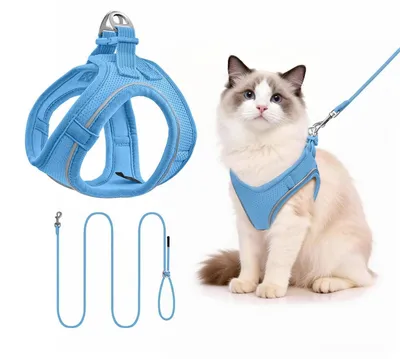 Image de Harnais pour chien avec laisse, couleur bleue, taille S, réfléchissant, longueur de la laisse : 255 cm