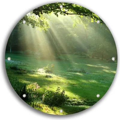 Produktbild von Wallario rundes Outdoor-Poster für Garten oder Balkon, Motiv Sonnenstrahlen im Wald, 30 cm Durchmesser
