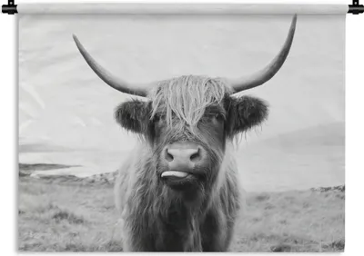 Produktbild von MuchoWow® Wandteppich Wandbehang Tiere - Schottischer Highlander - Kuh - Schwarz - Weiß 90x67.5 cm Tapisserie Dekoration Wandtuch - Fototeppich - Wand-Skulpturen