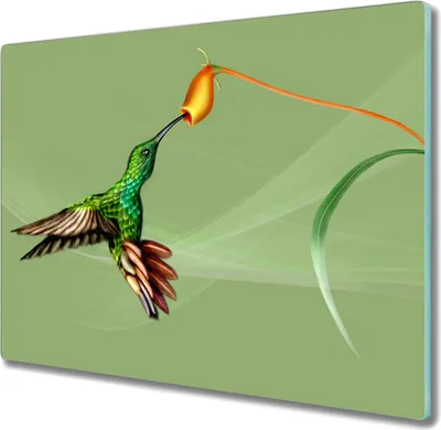 Produktbild von Coloray Schneidebrett Herdabdeckplatte 60x52 cm Kochplattenabdeckung Küchenbrett Hackbrett - Tier Vogel
