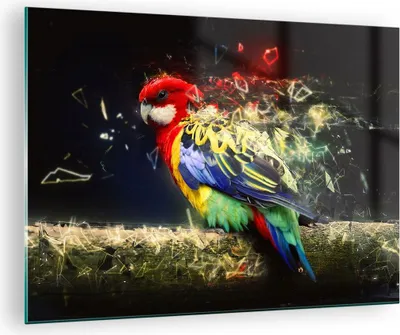 Produktbild von Bilder auf glas - Papagei Vogel Feder - 70x50cm - Glasbilder - Wandbilder - Kunstdruck - zum Aufhängen bereit - Wanddekoration aus Glas - Glas Bilder - Wandbild auf Glas - Einteilig - GAA70x50-3682