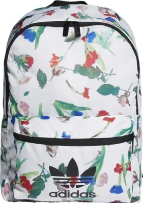 Produktbild von adidas Classic Backpack EI4762