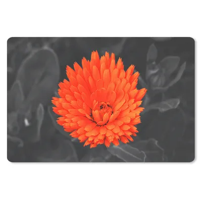Produktbild von MuchoWow® Schreibtischunterlage Blumen - Orange - Schwarz - Weiß 60x40 cm - XXL Mauspad - Großes Mauspad