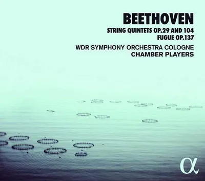 Obrázek produktu pro Ludwig van Beethoven (1770-1827): (CD / Název: H-Z)