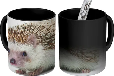 Obrázok produktu pre MuchoWow® Magický pohár Ježko - Zvieratá - Biely 350 ml Pohár na zmenu farby Darček Nápad na darček - Foto hrnček