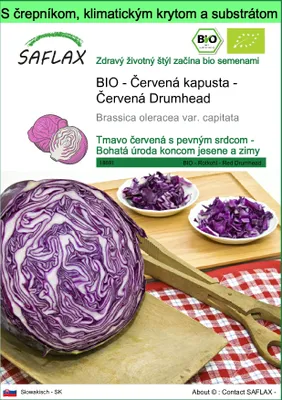 Obrázok produktu pre SAFLAX Garden to go - BIO - Červená kapusta - Červená Drumhead - Brassica oleracea var. capitata - 250 Semená - S črepníkom, klimatickým vekom a pestovateľským substrátom