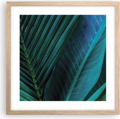 Produktbild von Gerahmtes Poster - Rahmen in heller Eiche - Blatt Tropen Grün - 40x40 cm - Wand Bild - Wanddeko - Wandbilder - Kunstposter - Wandposter - Bilderrahmen - Bilder - Kunstdruck - P2NAC40x40-5071