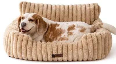 Produktbild von Kleines, weiches Katzenbett für Haustiere, 76x53x30cm