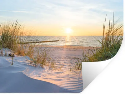Produktbild von MuchoWow® Wandtattoo Wandsticker Wandaufkleber Strand - Sonne - Düne - Gras - Sand - Horizont 120x90 cm Selbstklebend und Repositionierbar - Aufkleber