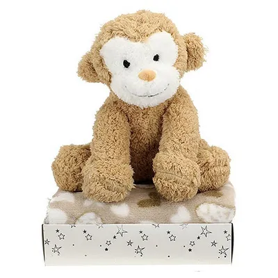 Immagine prodotto di Toi-Toys Pluchen Aap + Knuffeldeken in Geschenkdoos