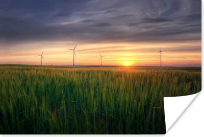 Produktbild von MuchoWow® Poster Windmühle - Sonne - Gras 180x120 cm - Fotoplakat