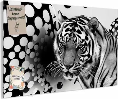 Produktbild von Magnettafel 60x40cm magnetisch & beschreibbar Metall-Board - Tigerpunkte