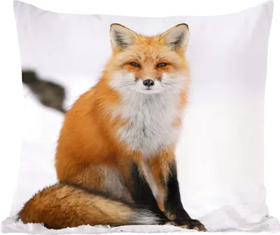 Produktbild von MuchoWow® Zierkissen Sofakissen Wohnzimmer Dekokissen 60x60 cm Fuchs - Schnee - Winter - Sitzfläche - Foto Polster