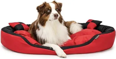 Imagen del producto de Cama para perro 4 en 1 con cojín y colchón reversible, 110x80 cm, color rojo/