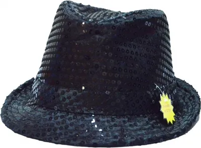 Produktbild von Mottoland 41493002, Karnevalskostüm-Hut, Weiblich, Polyester, Schwarz, 79 g, 1 Stück(e)