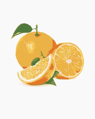 Produktbild von Zuty - Malen nach Zahlen - ORANGE, 40x50 cm, ohne Keilrahmen